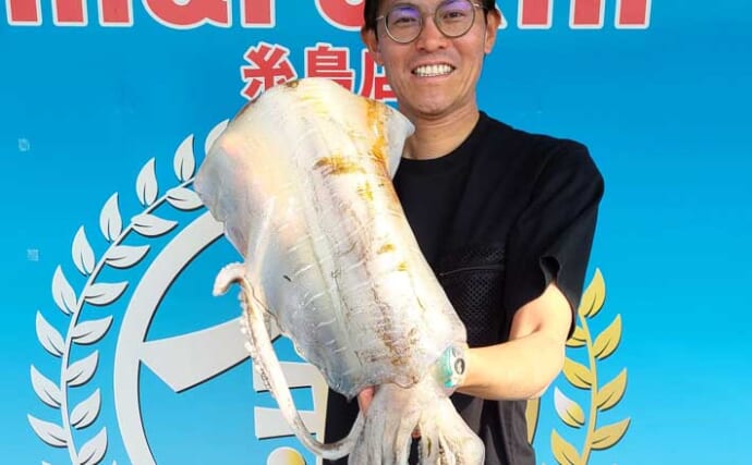 呼子エリアのエギング釣行で2kg超えアオリイカ好捕【佐賀】緑のケイムラカラーのエギにヒット