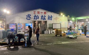 リアルタイムで海の状況をチェックする方法　魚市場や鮮魚店の情報で釣果ア…