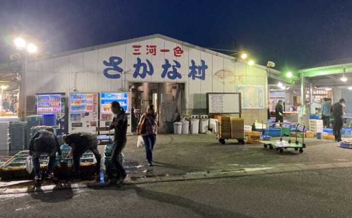リアルタイムで海の状況をチェックする方法　魚市場や鮮魚店の情報で釣果アップ！