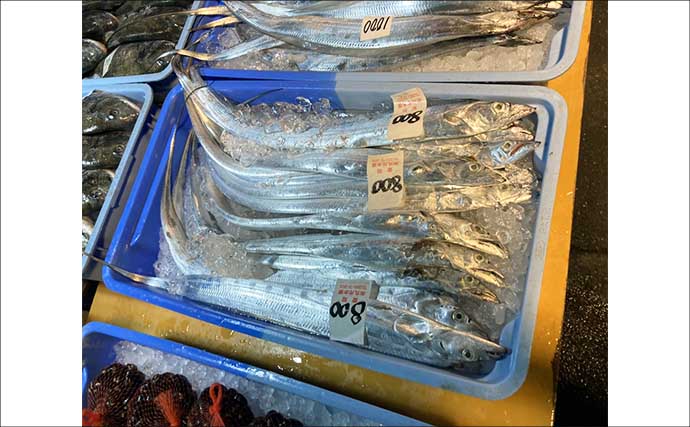 リアルタイムで海の状況をチェックする方法　魚市場や鮮魚店の情報で釣果アップ！