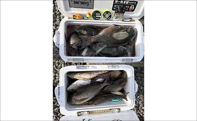 沖磯フカセ釣りでイサキ数釣り＆40cmクロ手中！【大分】ロックゲームではアカハタもヒット