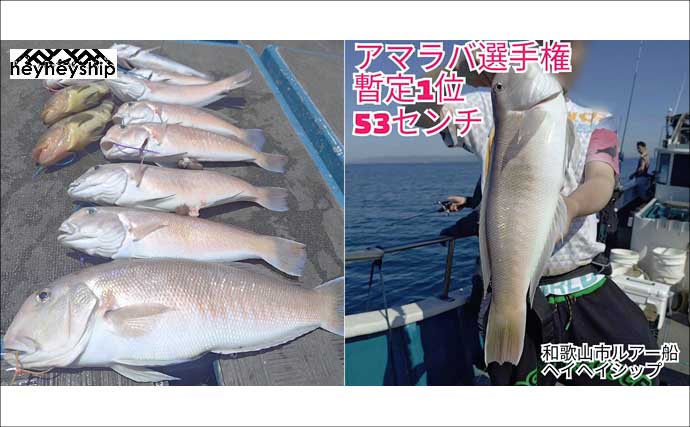夜遊びにイカメタルとバチコンはいかが？　関西エリアの【船釣り特選釣果7選】