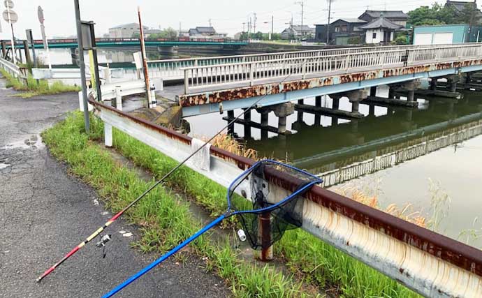 ウナギ釣り釣果レポート：河川の橋ゲタ周りを狙って本命3匹キャッチ成功【筏川・愛知】