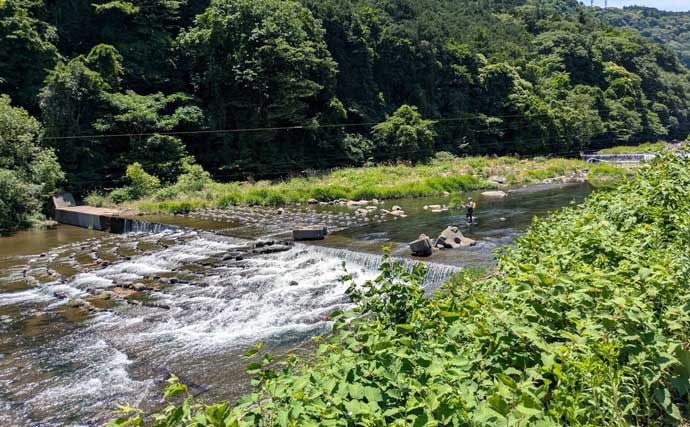 早川での渓流エサ釣りで53cmニジマスを手中！【神奈川】ブドウ虫エサにヒット