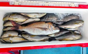 玄界灘で30～40cmのイサキの数釣りチャンス！【船釣り釣果速報7選・…