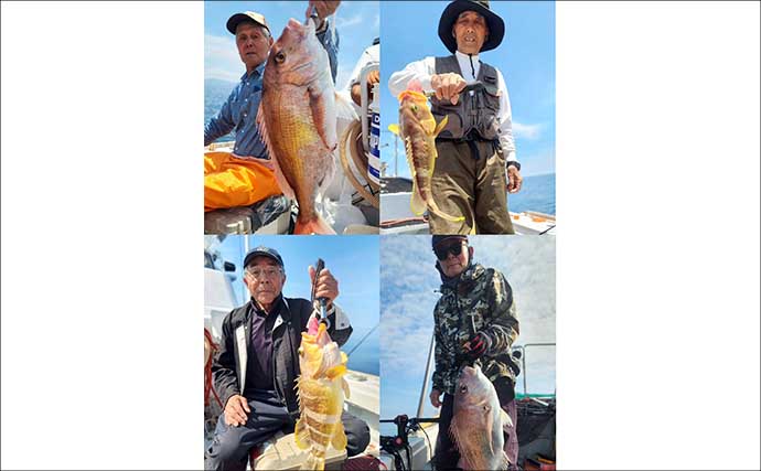 呼子沖で夜焚きイカ好調！釣る人100尾以上【船釣り釣果速報5選・長崎／佐賀】