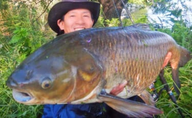荒川で22kg超ソウギョをキャッチ　釣り開始15分で本命ヒットの出来過…