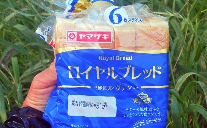 荒川で22kg超ソウギョをキャッチ　釣り開始15分で本命ヒットの出来過ぎ釣行