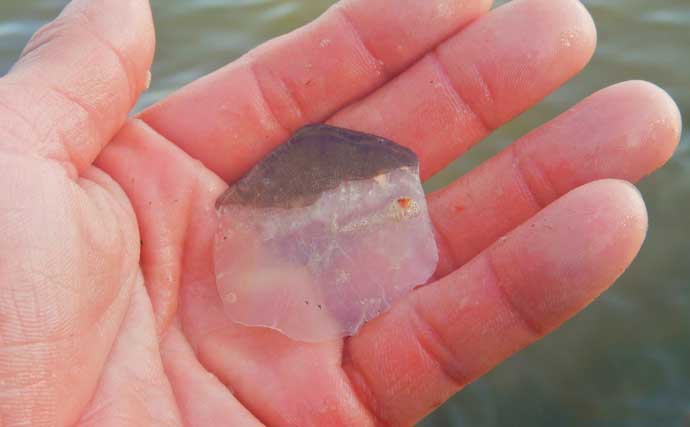 荒川で22kg超ソウギョをキャッチ　釣り開始15分で本命ヒットの出来過ぎ釣行