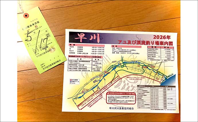 箱根早川は渓流釣り初心者のステップアップに最適　50cm級トラウトとの駆け引きも満喫
