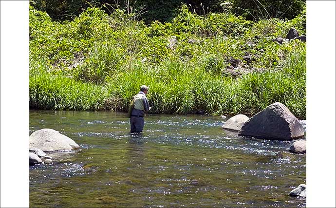 箱根早川は渓流釣り初心者のステップアップに最適　50cm級トラウトとの駆け引きも満喫