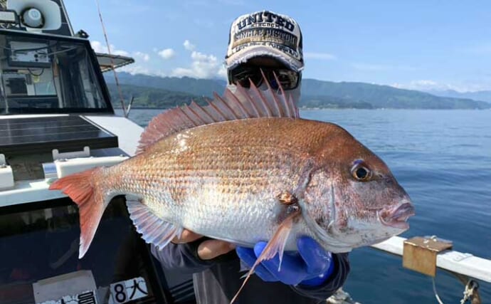 初夏の新潟・上越沖コマセ釣りで本命の真鯛数釣りを達成！【子丸】