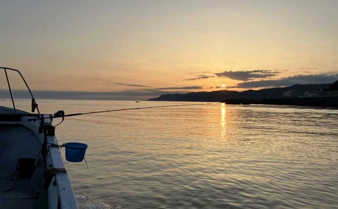 初夏の新潟・上越沖コマセ釣りで本命の真鯛数釣りを達成！【子丸】