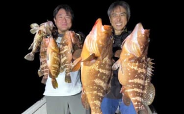 ナイトゲームで50cm超えキジハタが浮上！【オフショアルアー最新釣果8…