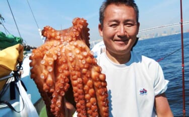 東京湾横浜沖のエギタコ釣りで3.8kg頭に良型マダコが続々ヒット！【黒…