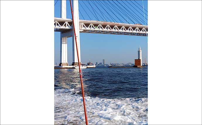 東京湾横浜沖のエギタコ釣りで3.8kg頭に良型マダコが続々ヒット！【黒川本家】