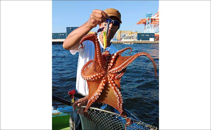 東京湾横浜沖のエギタコ釣りで3.8kg頭に良型マダコが続々ヒット！【黒川本家】