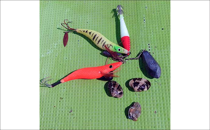 東京湾横浜沖のエギタコ釣りで3.8kg頭に良型マダコが続々ヒット！【黒川本家】