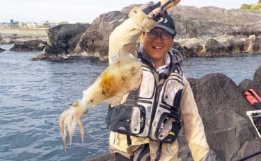 城ヶ島の地磯で1.1kgアオリイカをキャッチ【神奈川】冷凍アジエサのタ…