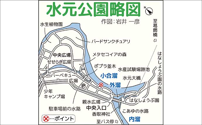 東京でテナガエビ釣り満喫【水元公園】5～6cmのメスを中心に7尾キャッチ