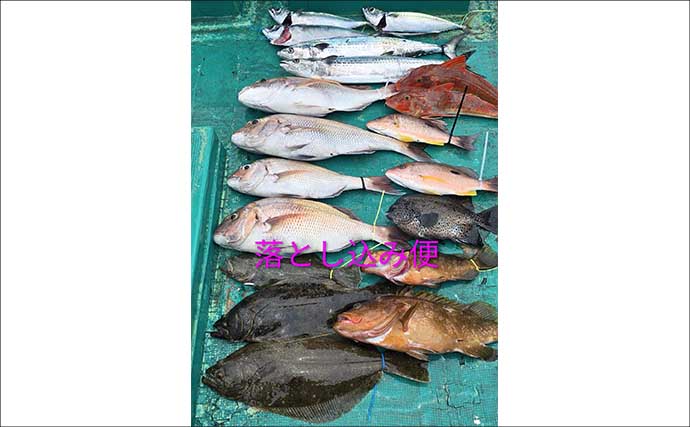 明石沖で良型交じりにマダコが好ヒット中！　関西エリアの【船釣り特選釣果7選】
