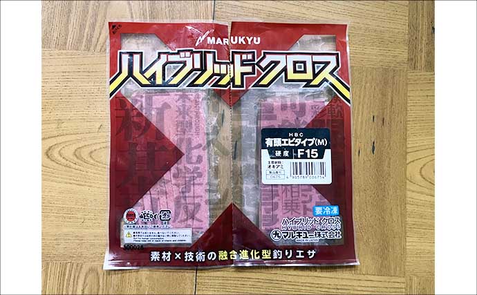 「良型尾長グレを釣ろう！」梅雨グレフカセ釣り入門解説【やり取り・タックル・仕掛け・エサ】