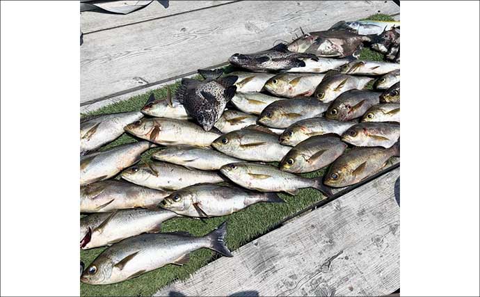 20kgオーバーの「イシナギ」堂々浮上！【船釣り釣果速報5選・三重】