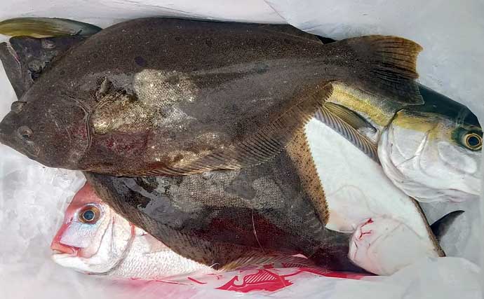 20kgオーバーの「イシナギ」堂々浮上！【船釣り釣果速報5選・三重】