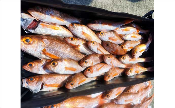 富山湾で大爆釣！アカムツ釣る人24匹！【船釣り最新情報5選・北陸】