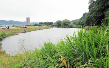 今週のヘラブナ「ピックアップ」釣り場2026【神奈川県・弁天のジャリ穴】