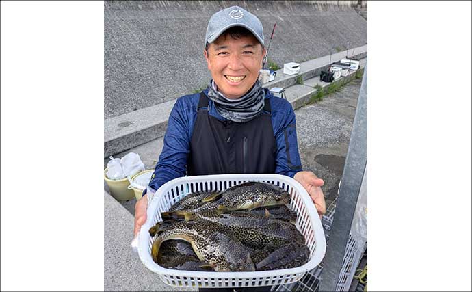 東京湾の「湾フグ釣り」でショウサイフグを好捕【新明丸】速潮で難易度アップ