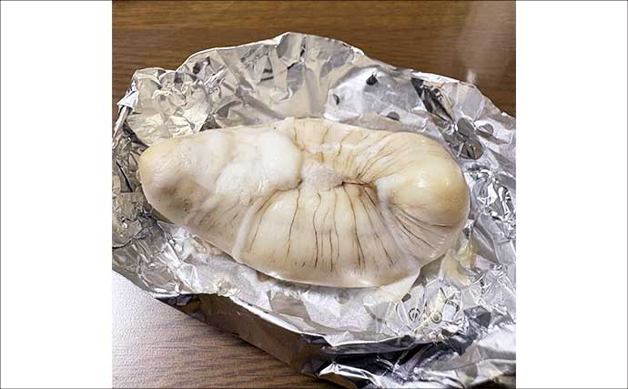 東京湾の「湾フグ釣り」でショウサイフグを好捕【新明丸】速潮で難易度アップ