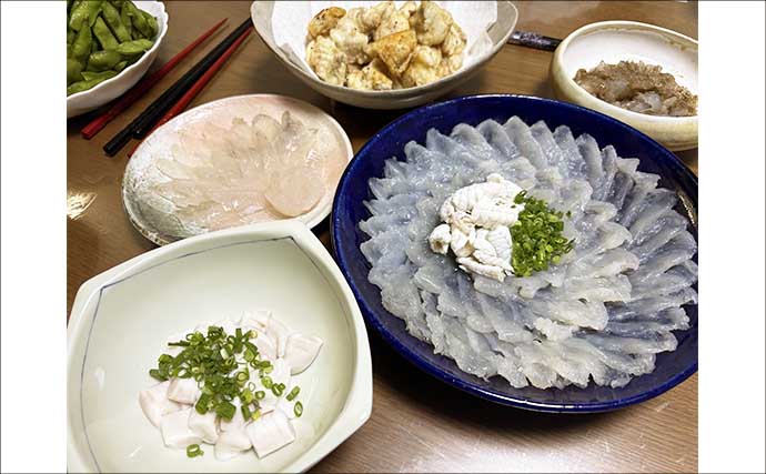 東京湾の「湾フグ釣り」でショウサイフグを好捕【新明丸】速潮で難易度アップ