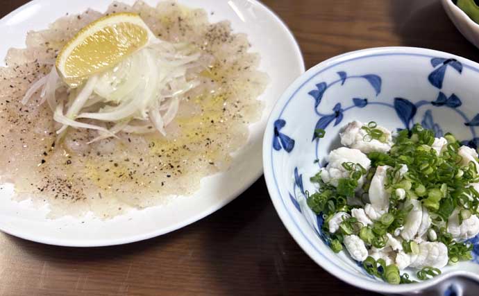 東京湾の「湾フグ釣り」でショウサイフグを好捕【新明丸】速潮で難易度アップ