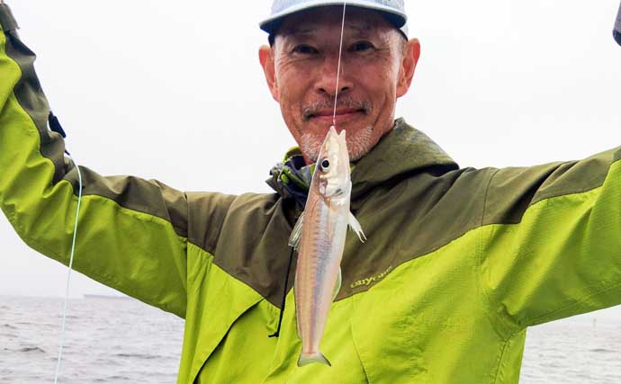 東京湾の船シロギス釣りで20cm超え極太サイズが続々【進丸】大型狙いのチャンス！
