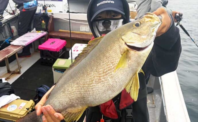 50cm級超大型イサキ堂々浮上！良型中心に数釣りチャンス【船釣り最新情報5選・大分／熊本】