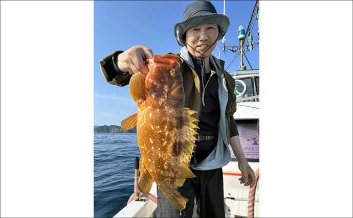 夜焚きイカメタルで釣った活きイカを泳がせてアラ（クエ）を狙う！【山口】