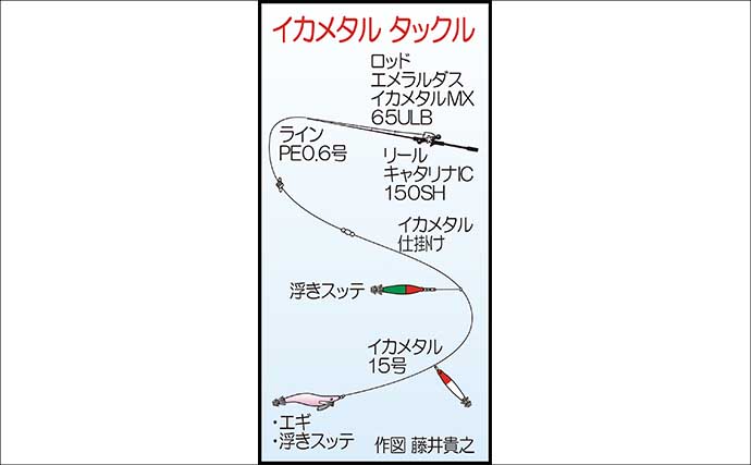夜焚きイカメタルで釣った活きイカを泳がせてアラ（クエ）を狙う！【山口】