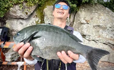 「海釣りGO」で釣り場を予約してフカセ釣りを満喫【西伊豆】堤防から45…