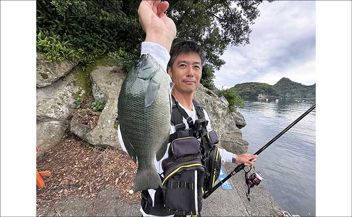 「海釣りGO」で釣り場を予約してフカセ釣りを満喫【西伊豆】堤防から45cm大型メジナをキャッチ！