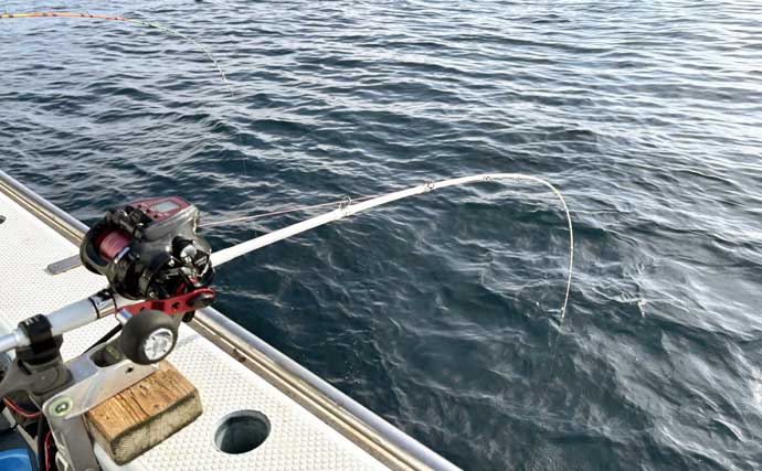洲崎沖で高級魚「マハタ」を狙う根魚五目釣り　本命＆多彩なゲストと対面成功！【萬栄丸・千葉】