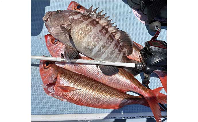 洲崎沖で高級魚「マハタ」を狙う根魚五目釣り　本命＆多彩なゲストと対面成功！【萬栄丸・千葉】