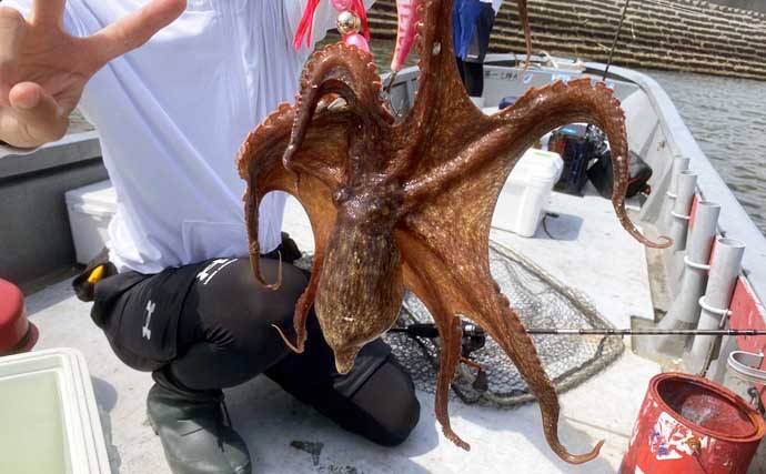 一色魚市場に並ぶ魚介類から【7月の奥伊勢湾の釣りもの】を考察してみた