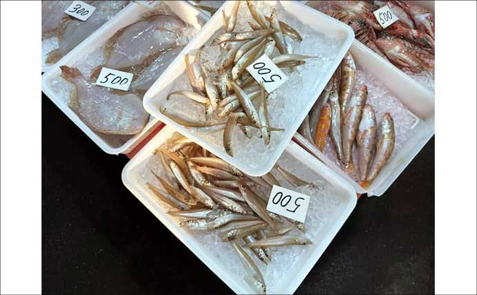 一色魚市場に並ぶ魚介類から【7月の奥伊勢湾の釣りもの】を考察してみた