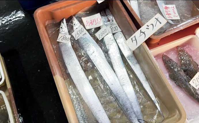 一色魚市場に並ぶ魚介類から【7月の奥伊勢湾の釣りもの】を考察してみた