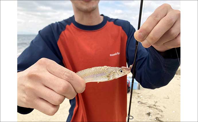サーフでの投げ釣りで21cm良型シロギスをキャッチ！【香良洲海岸】波打ち際でヒット