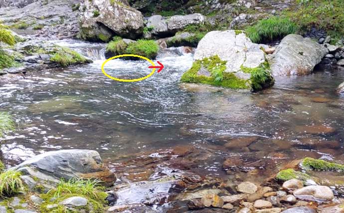 渓流エサ釣りの「難しい」ところ 【環境・道具の選択・釣り場での対応】