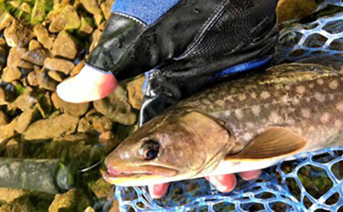 釣果写真がワンランクアップ　魚を美しく撮影する簡単テクニック3選を解説