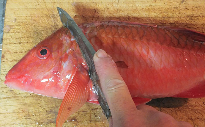 釣った「オジサン」で作るネギみそレシピ　甘めに仕上げてご飯のお供に