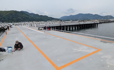 今年オープンの『清水港海づり公園』を徹底解説　釣れる魚・ルール・アクセ…